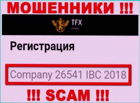 Номер регистрации, который принадлежит преступно действующей компании TFX-Group Com: 26541 IBC 2018