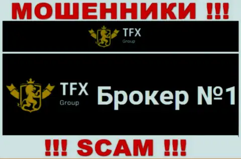 Не рекомендуем доверять вложенные денежные средства TFX Group, ведь их сфера деятельности, ФОРЕКС, развод