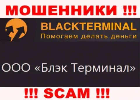 На официальном онлайн-сервисе Black Terminal написано, что юридическое лицо конторы - ООО Блэк Терминал