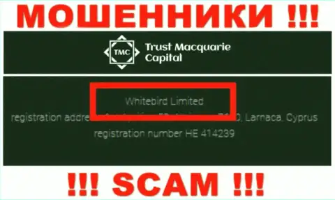 На официальном сайте Trust Macquarie Capital написано, что данной организацией владеет Вайтберд Лтд