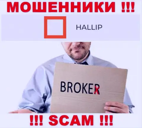 Вид деятельности интернет шулеров Hallip - это Broker, однако знайте это разводняк !!!