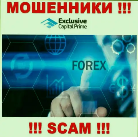 FOREX - это сфера деятельности мошеннической конторы Эксклюзив Капитал