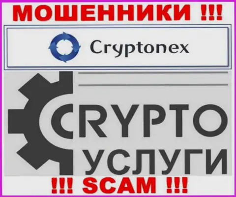 Связавшись с CryptoNex, сфера деятельности которых Крипто услуги, рискуете остаться без своих финансовых вложений