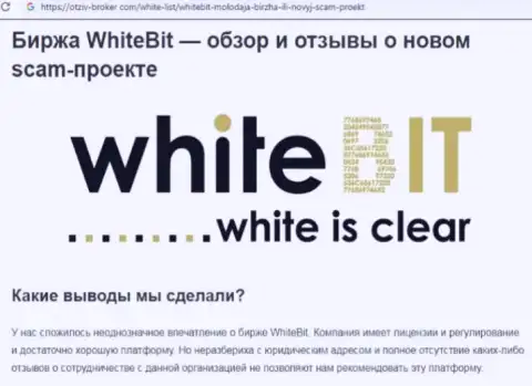 White Bit - это контора, совместное взаимодействие с которой доставляет только потери (обзор деятельности)