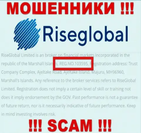 Номер регистрации Rise Global, который мошенники указали у себя на internet странице: 103595