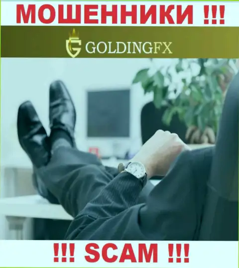 Ни имен, ни фотографий тех, кто руководит конторой Goldingfx InvestLIMITED во всемирной интернет паутине не найти