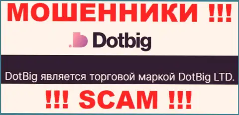 DotBig - юр лицо кидал компания DotBig LTD