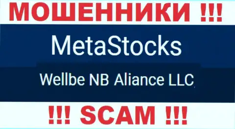 Юридическое лицо internet мошенников MetaStocks Co Uk - Wellbe NB Aliance LLC