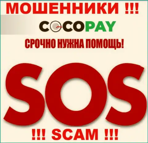 Можно еще попытаться забрать назад денежные вложения из компании Coco Pay, обращайтесь, узнаете, как действовать