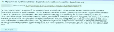 Автор отзыва утверждает, что Буджет Инвест - это АФЕРИСТЫ !!! Совместно работать с которыми нельзя
