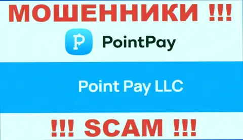 Компания Поинт Пей находится под крылом организации Point Pay LLC