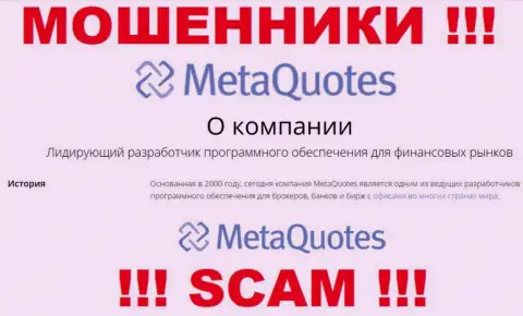 Разработка программного обеспечения - в этом направлении оказывают свои услуги мошенники МетаКвотес